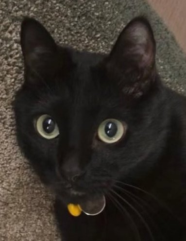 Tan⁷🍷 tweet media