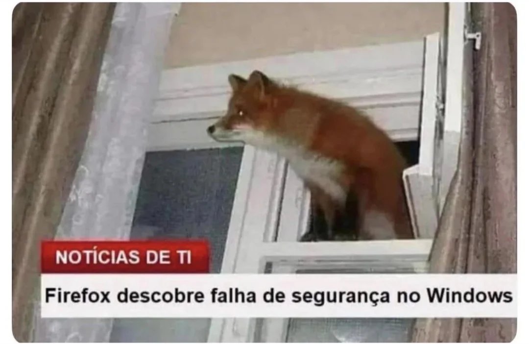 Página Séria. tweet media