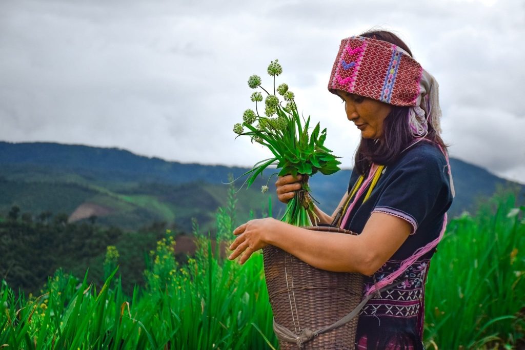 theGEF's tweet photo. @TheGEF is seeking experts to join its Indigenous Peoples Advisory Group (IPAG) across:
Africa, Asia, Latin America &amp; the Caribbean, and Indigenous Youth.
🗓️ Apply by April 24, 2026: https://t.co/67yqKPrTsh
@UN4Indigenous @IIFB_indigenous @IPsLeadNature @TenureFacility https://t.co/uwOHEruHfB
