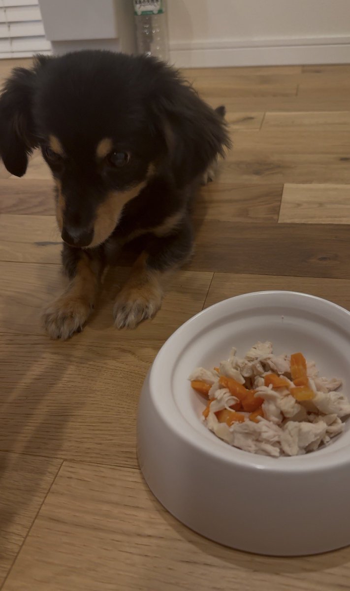 憲宝 潤 👑 従業員募集中 tweet media