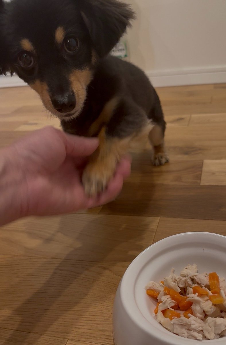 憲宝 潤 👑 従業員募集中 tweet media