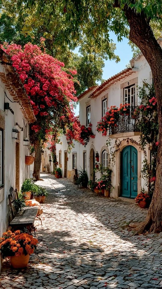 ReNature🦋 tweet media