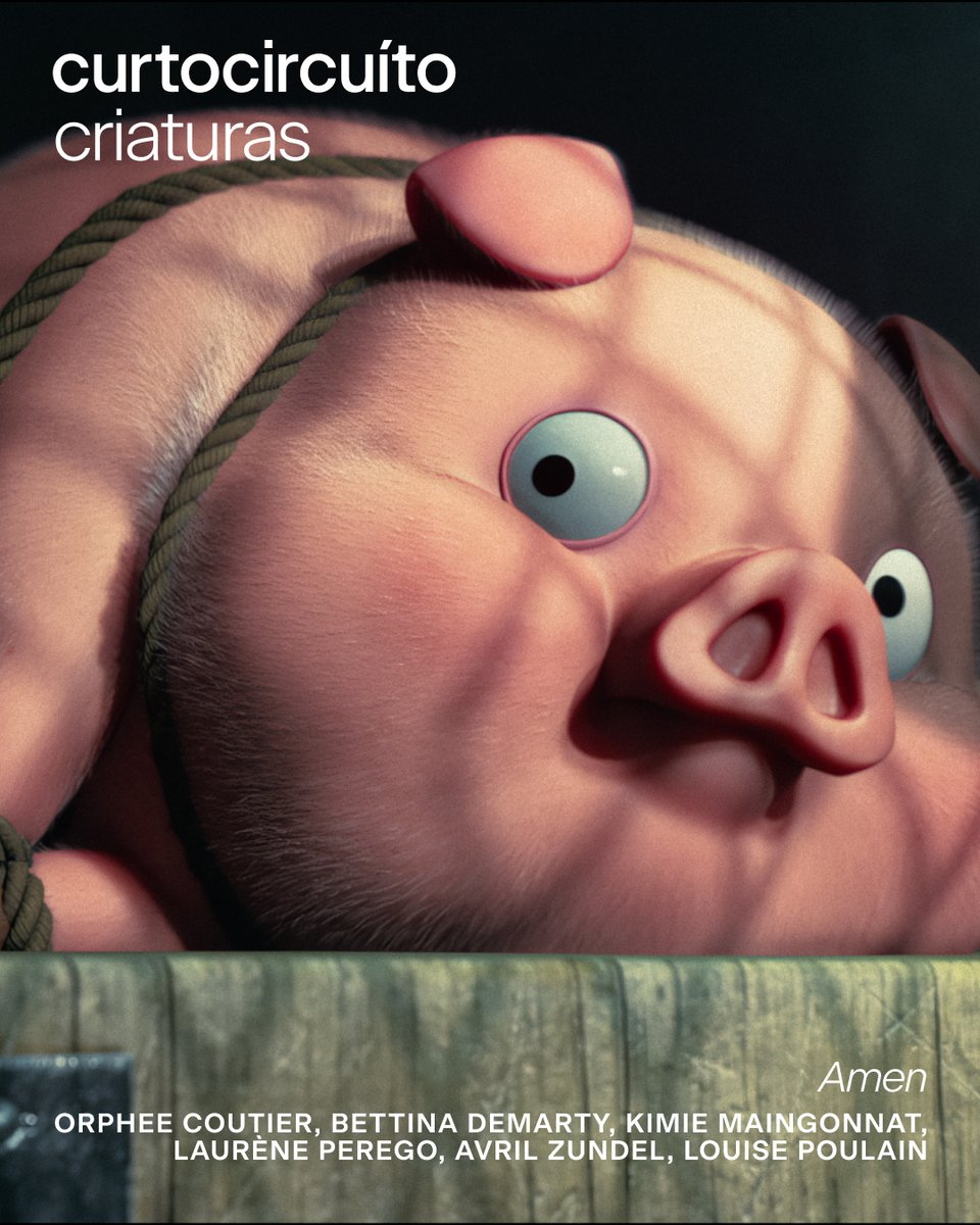 CURTOCIRCUÍTO tweet media