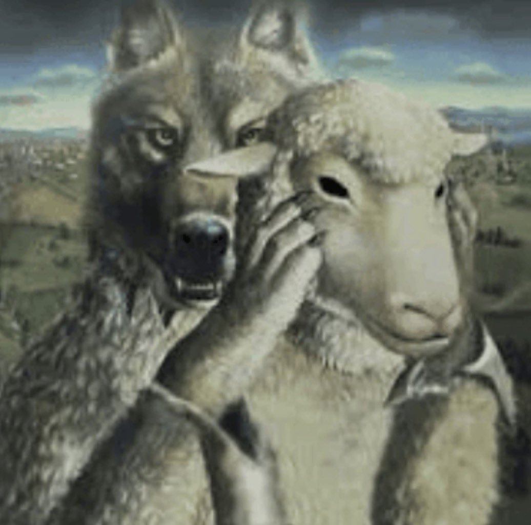 lana 🍊 tweet media