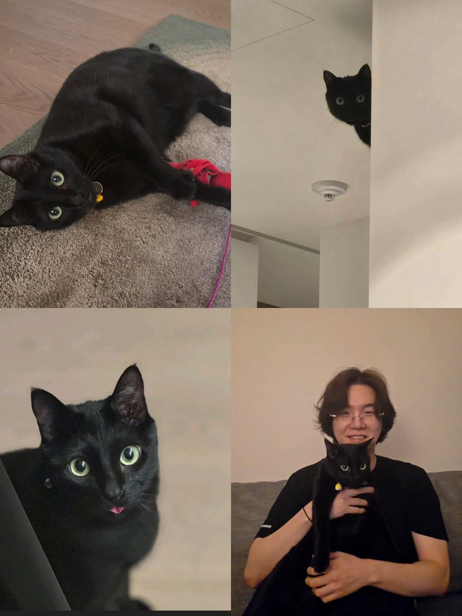 bts rapline tweet media