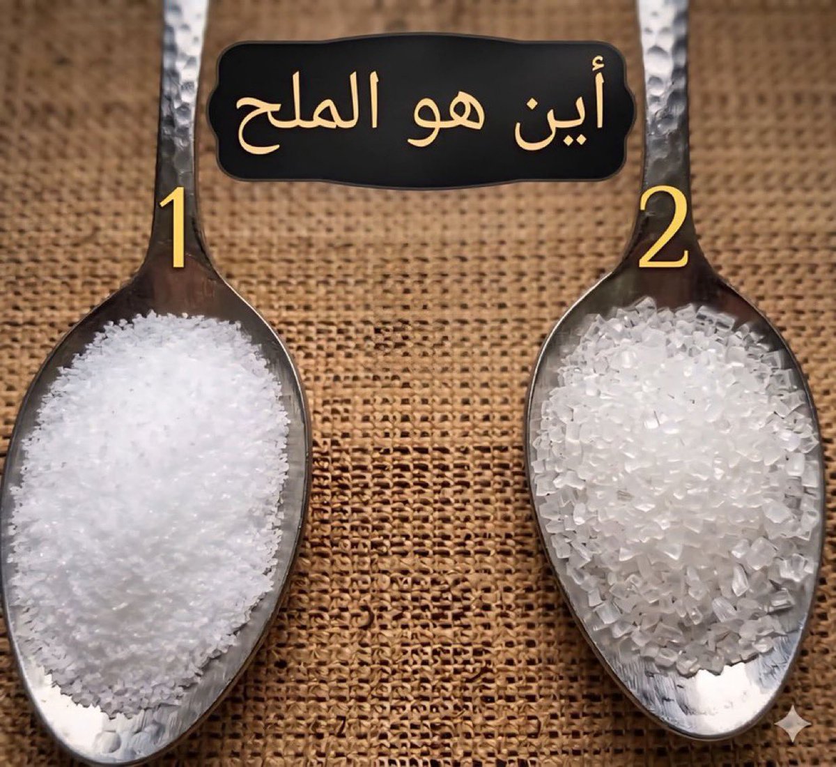 سقراط🌟 tweet media