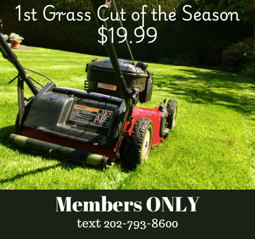 DCLandlord's tweet image. Get your 1st grass cut of the season. Stay ahead on property maintenance and keep your rentals looking their best dclandlord.org/blog/1st-grass… #DCLandlord #PropertyManagement #SpringMaintenance