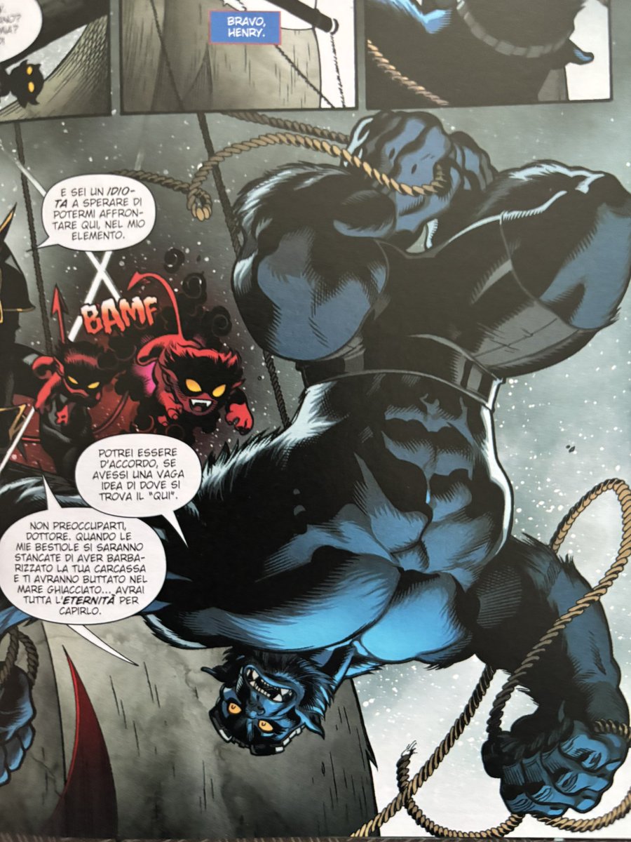 🐯 Zephir - Tiger Thief 🐯 tweet media