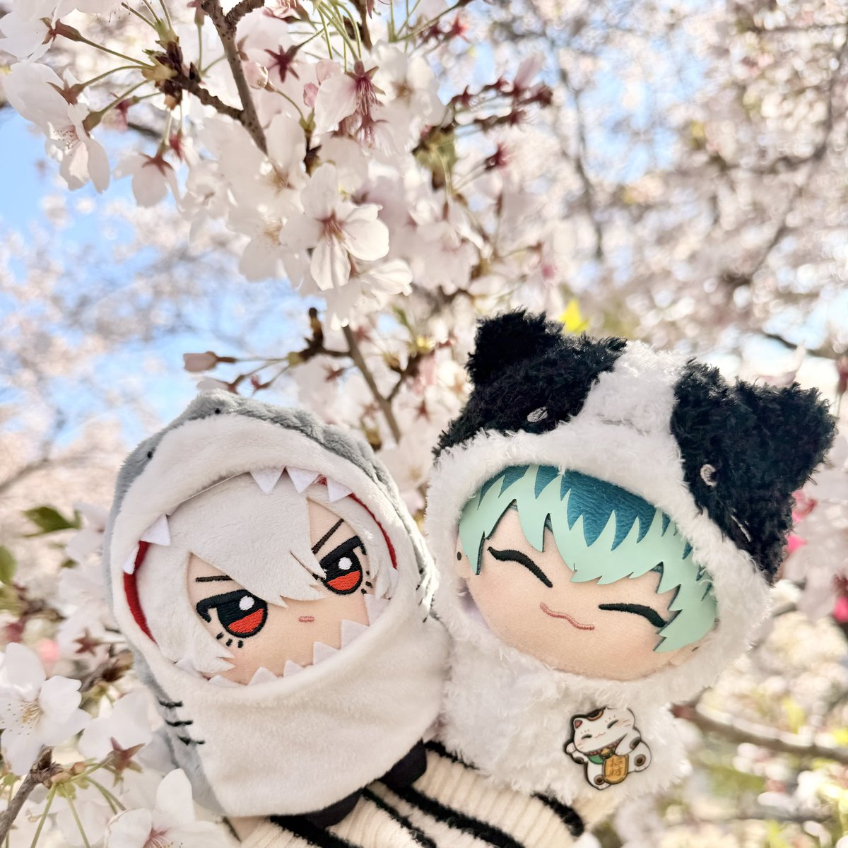 かなた tweet media