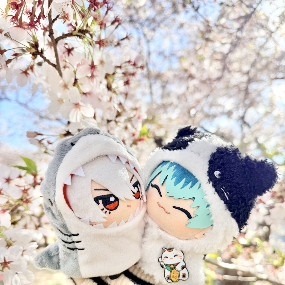 かなた tweet media