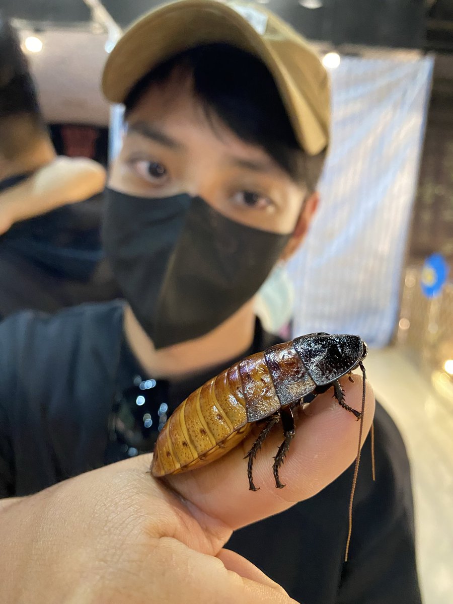 uriel58122's tweet photo. 馴服的乖乖，妳們敢抓嗎？ https://t.co/cjqNSPhyBE