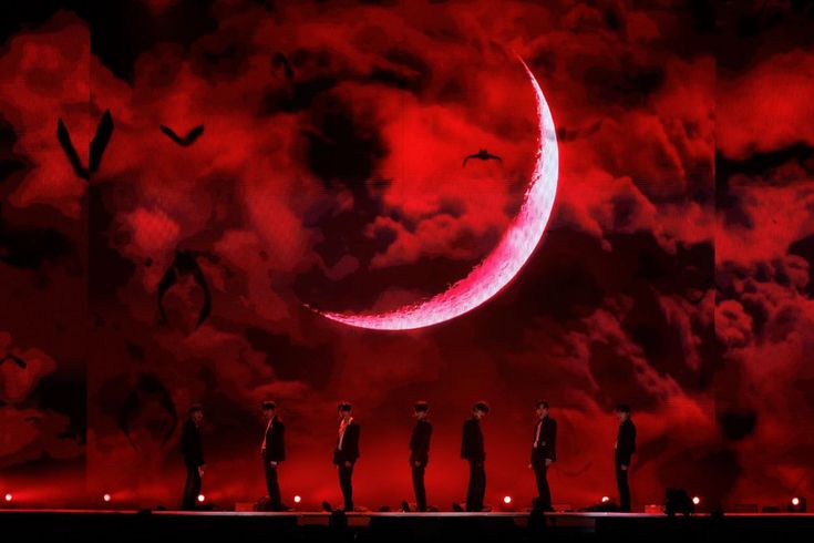 🐧🐹 tweet media