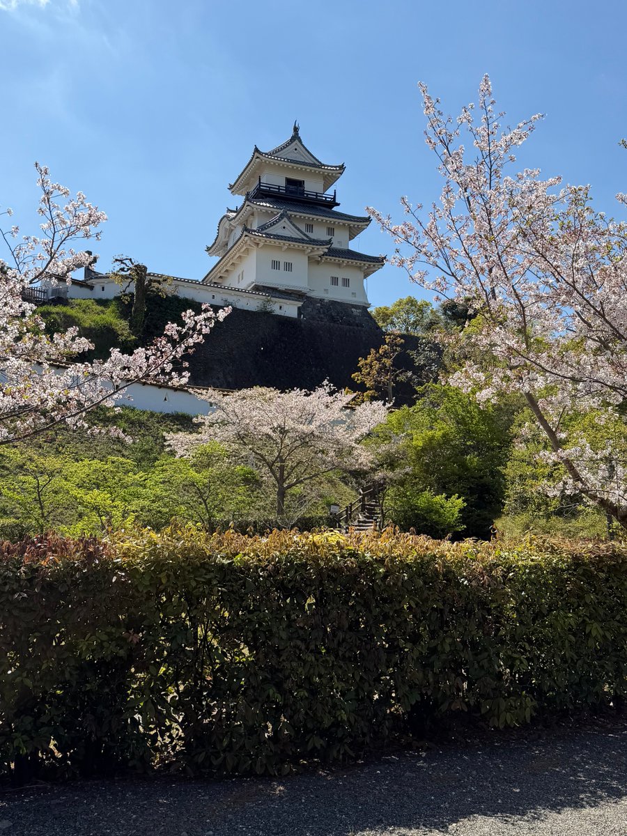 Erwin Vollmann🎗 tweet media