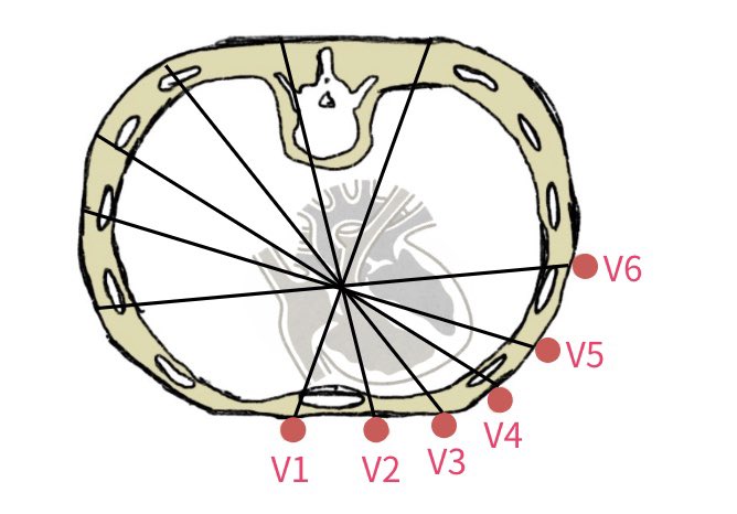 心電図くま | ECG KUMA tweet media