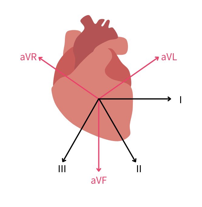 心電図くま | ECG KUMA tweet media
