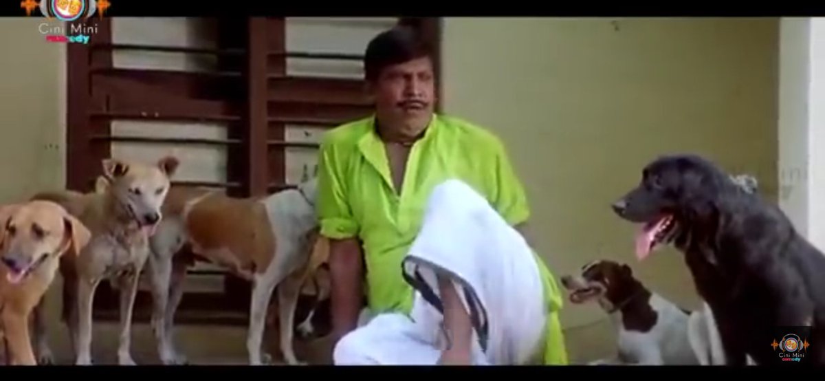 அன்பு ᴴᴾ ³³ tweet media