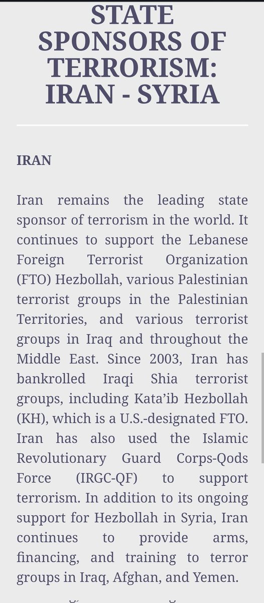 Wabbit Brisbane tweet media