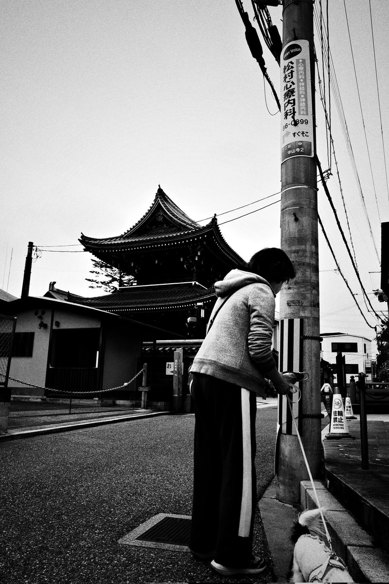 wao_camera's tweet image. 日常

GRⅣ
#GR4 #SnapShot 
#monochrome