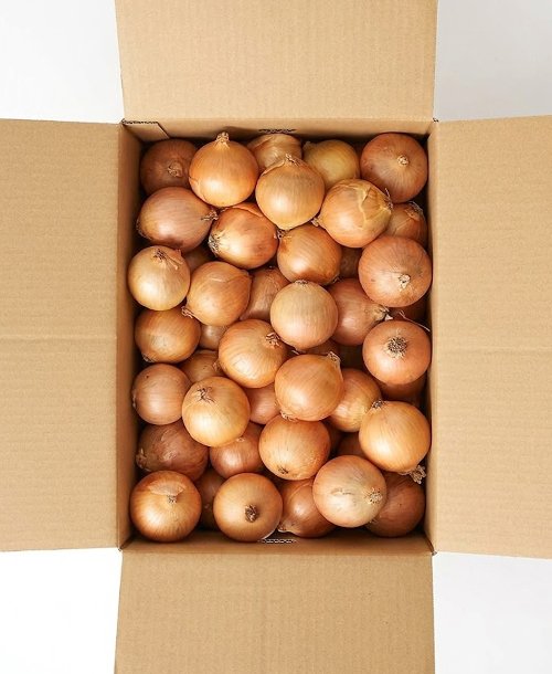 もったいない畑 🥕 訳あり野菜レスキュー tweet media