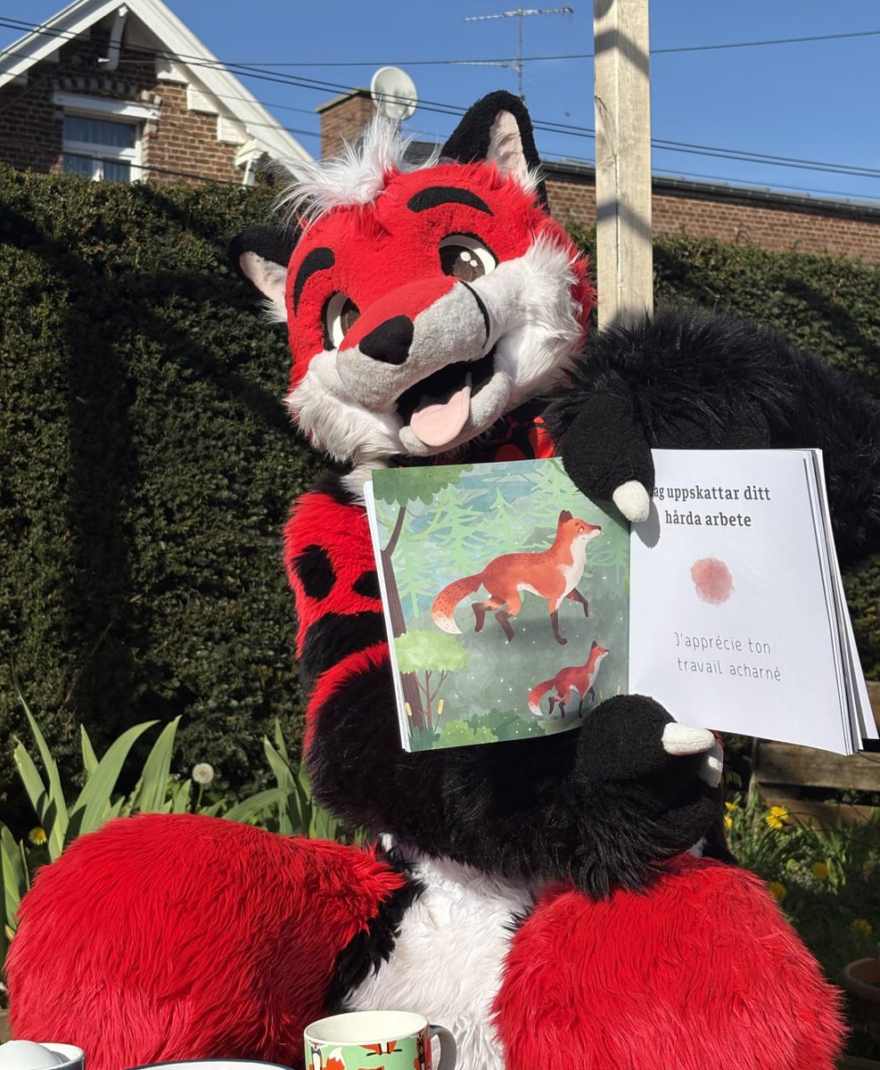 Andrew Fox 🔜 NFC tweet media