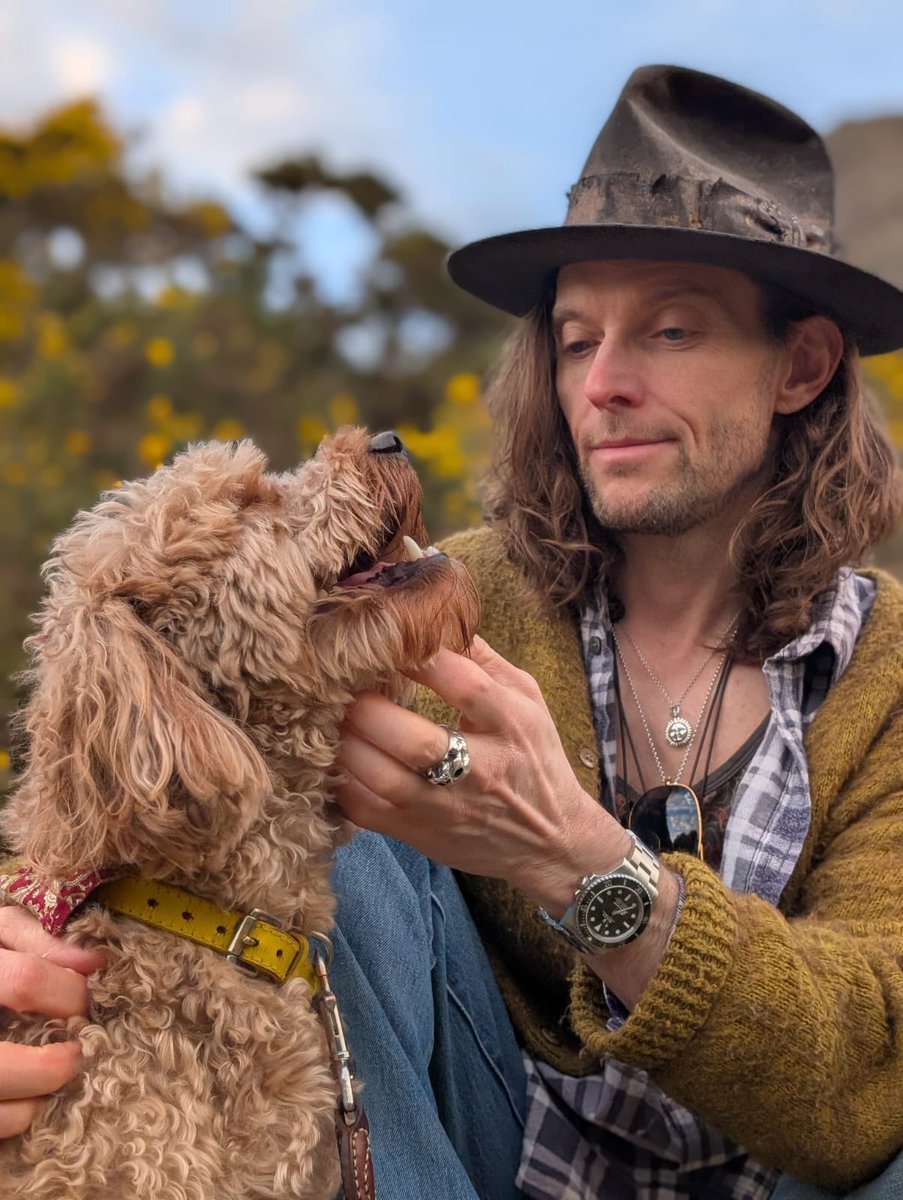 TheJPEGGallery ⌐◨-◨ tweet media