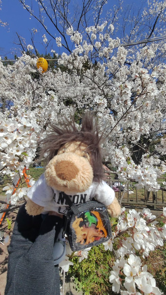 2026.04.08
毎年恒例
🌸ミノミ🦁＆Dとお花見🌸
ミノやー
桜の季節の日本も美しいよ✨
仙台は5月が1番、街並みが美しくなるので
是非💕
<a href="/ActorLeeMinHo/">Lee Min Ho</a> 
#MINOMI