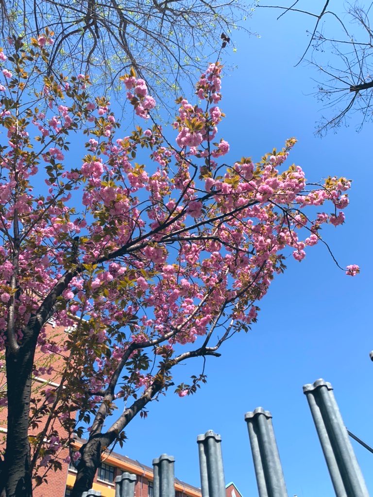 김희숙 tweet media