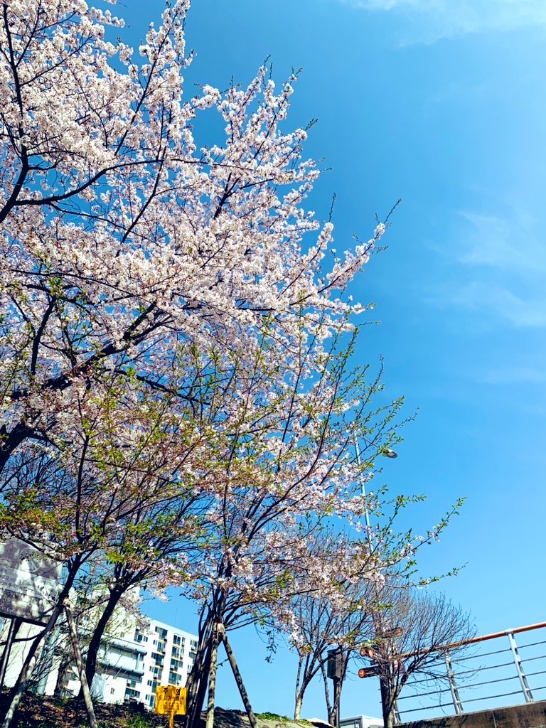 김희숙 tweet media