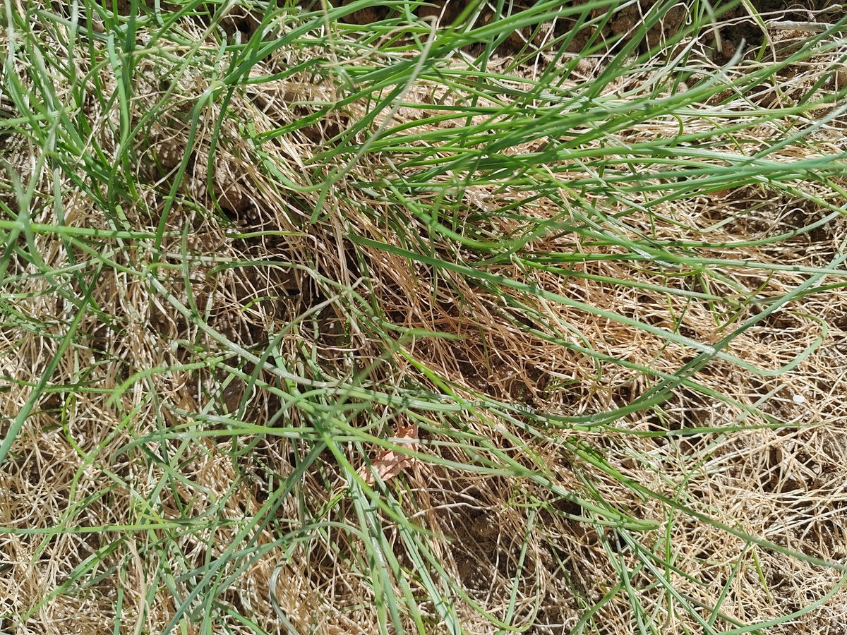 Karan Devkar tweet media