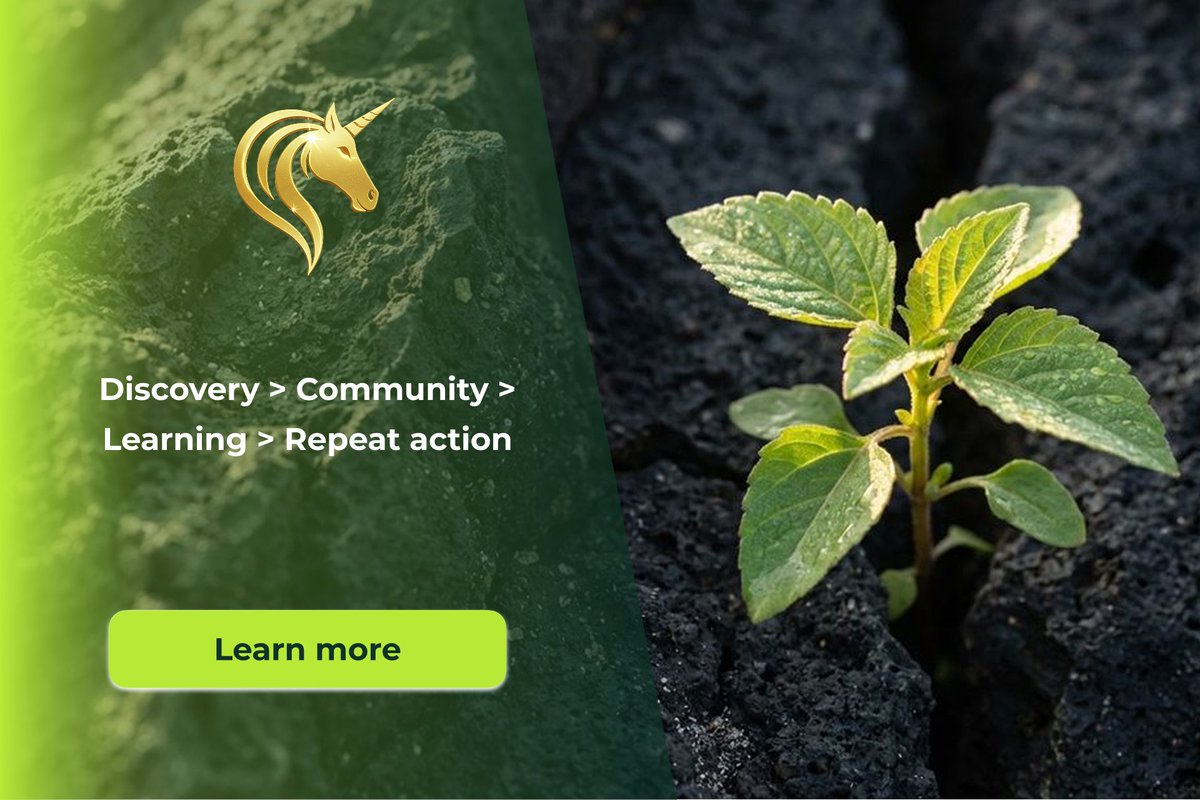 SanTerris One tweet media