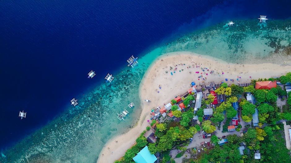 Torrie Crocket tweet media