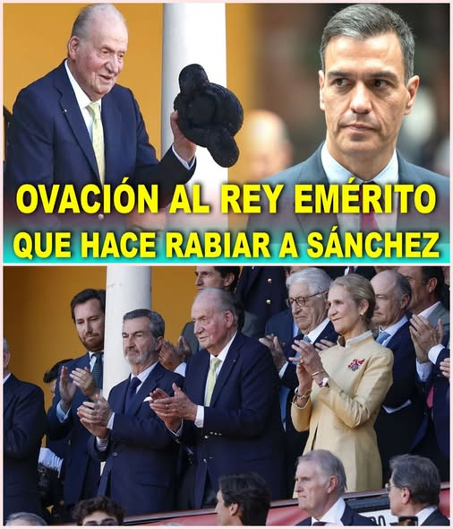 PEPE, en Español . INVICTUS MANEO.🇪🇸 🇮🇱 tweet media