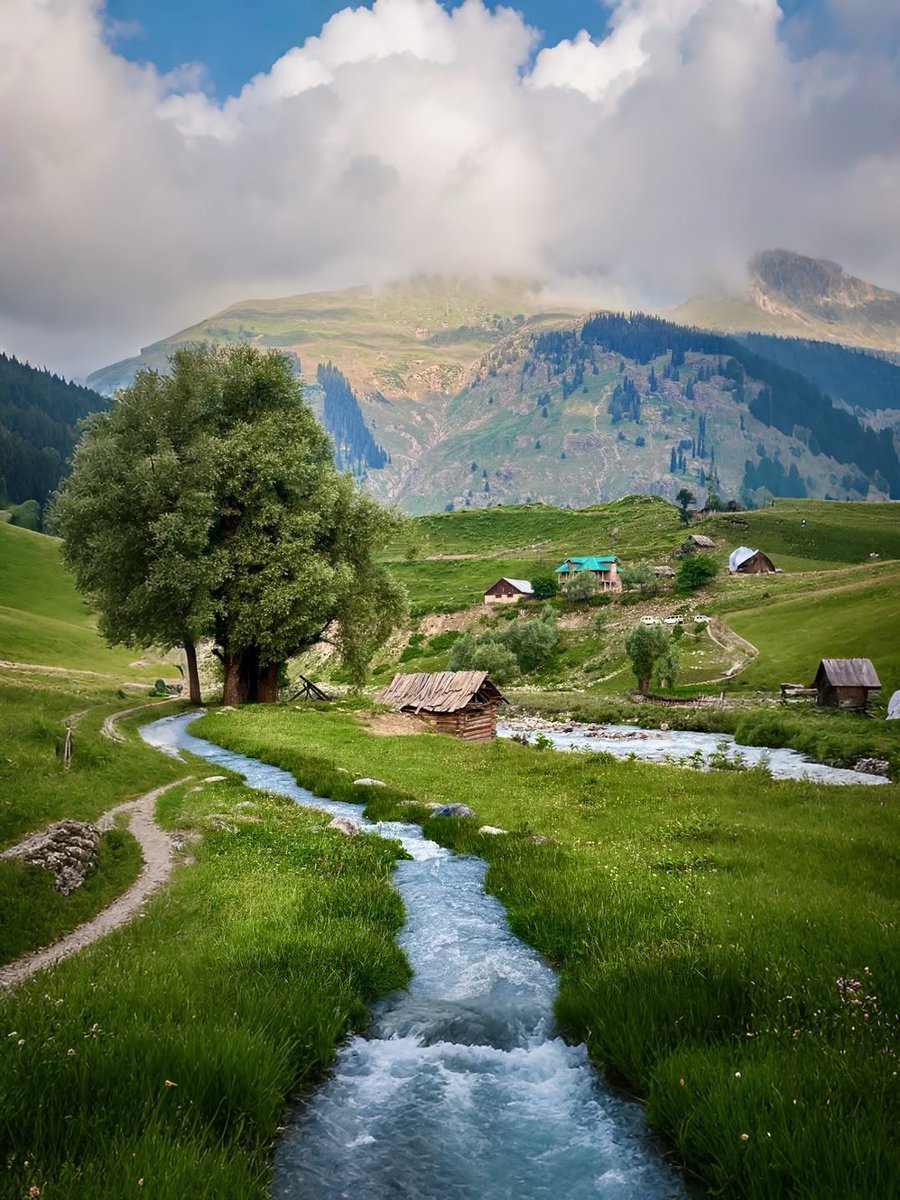 Go Jammu and Kashmir tweet media