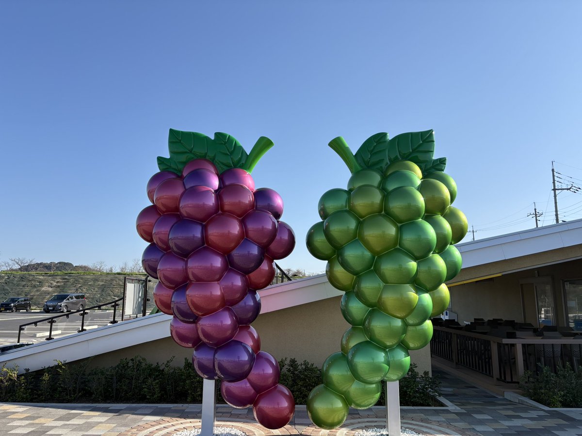 ノリピー tweet media