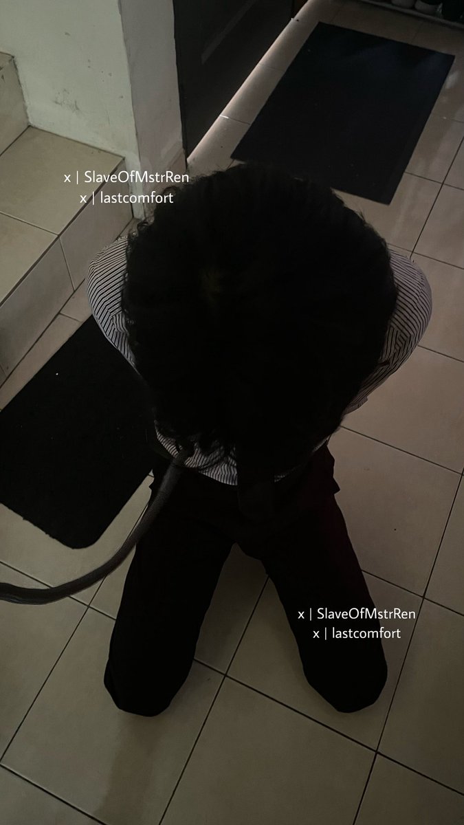 Master Ren's Property tweet media