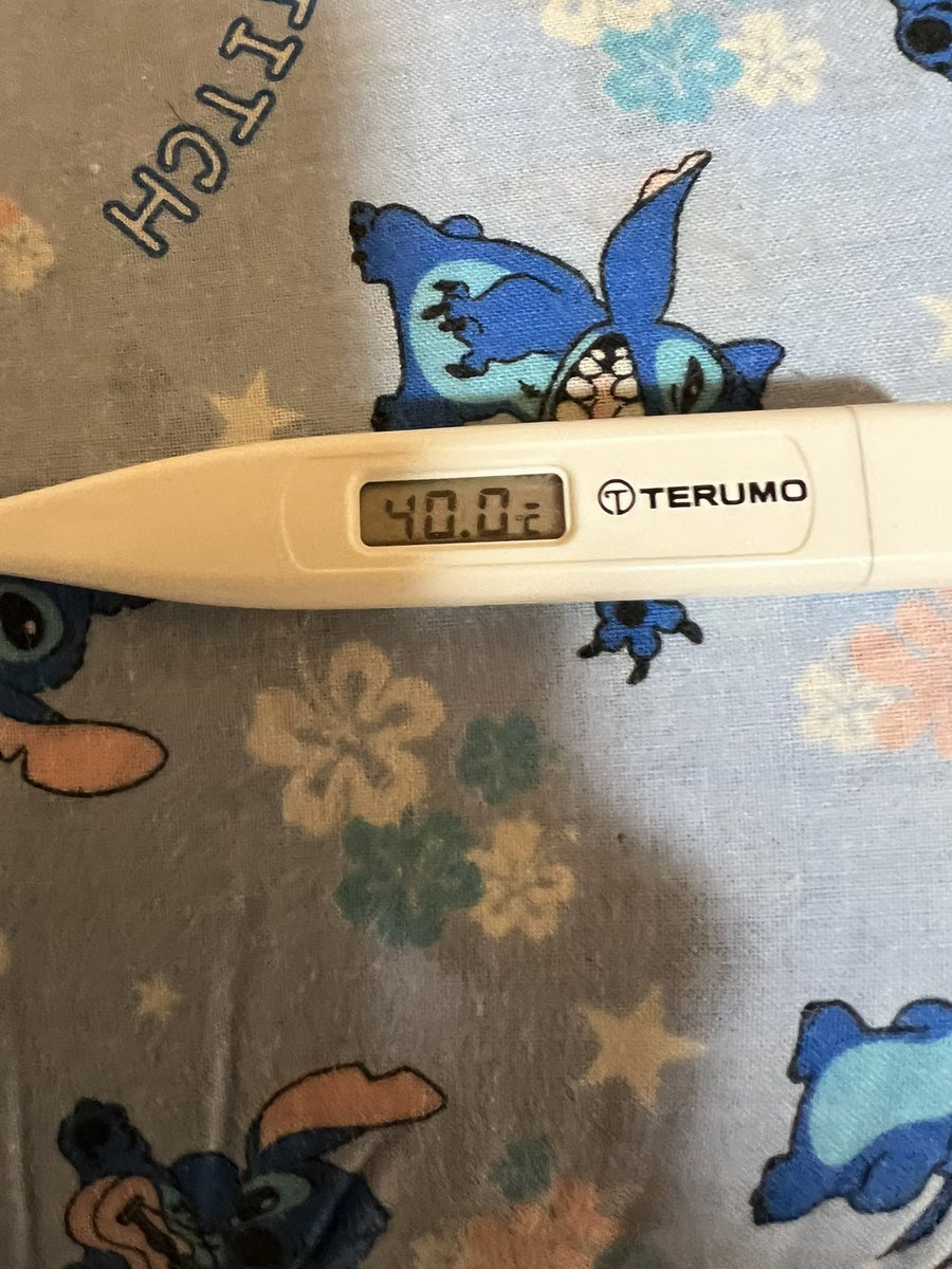 酒井琢矢(チワワ) tweet media