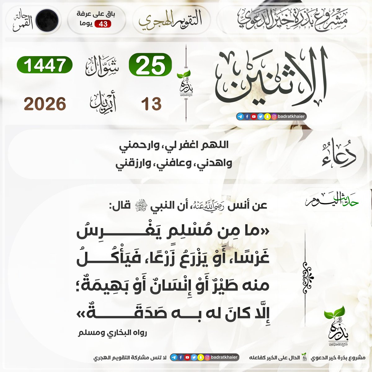 بذرة خير tweet media