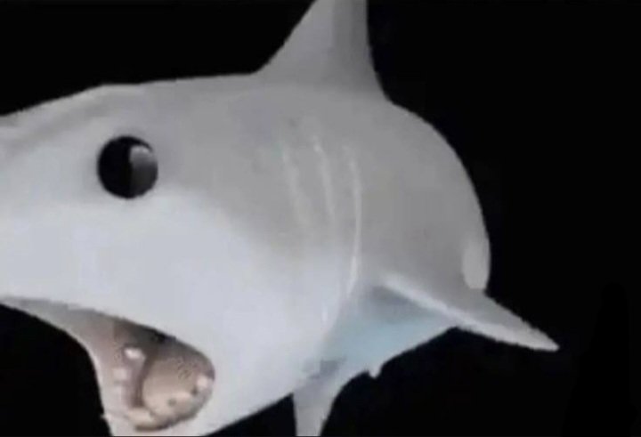 FringTheShark tweet media