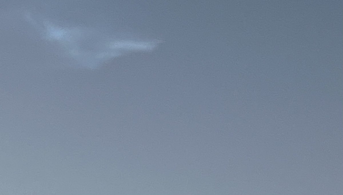 Negarjoon tweet media