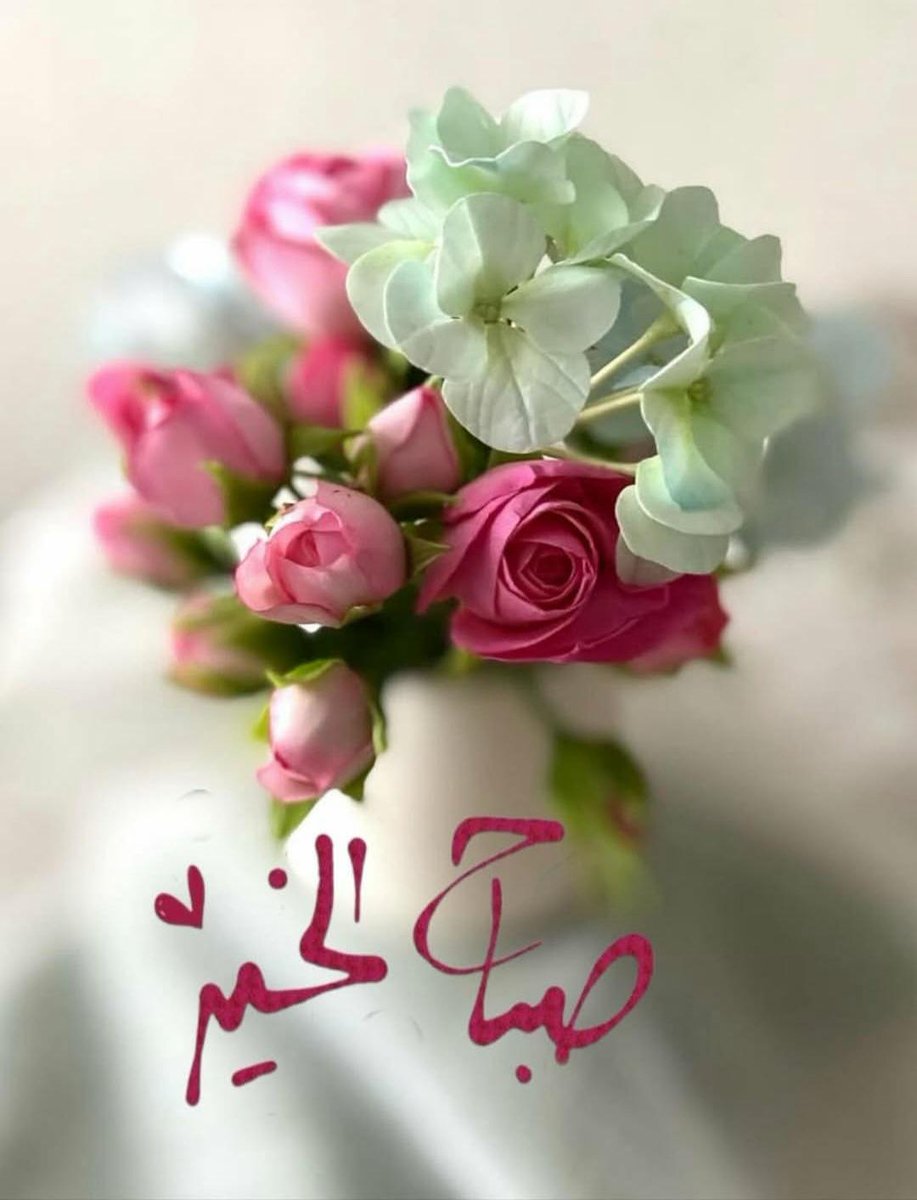 MohammedBHR tweet media