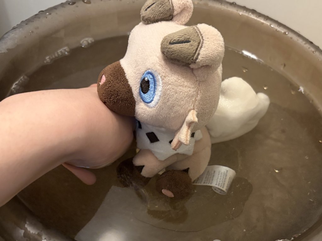 サイコー tweet media