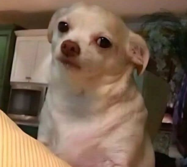 ✎ᝰ_atukwatse 𐙚🧸ྀི🥹 tweet media