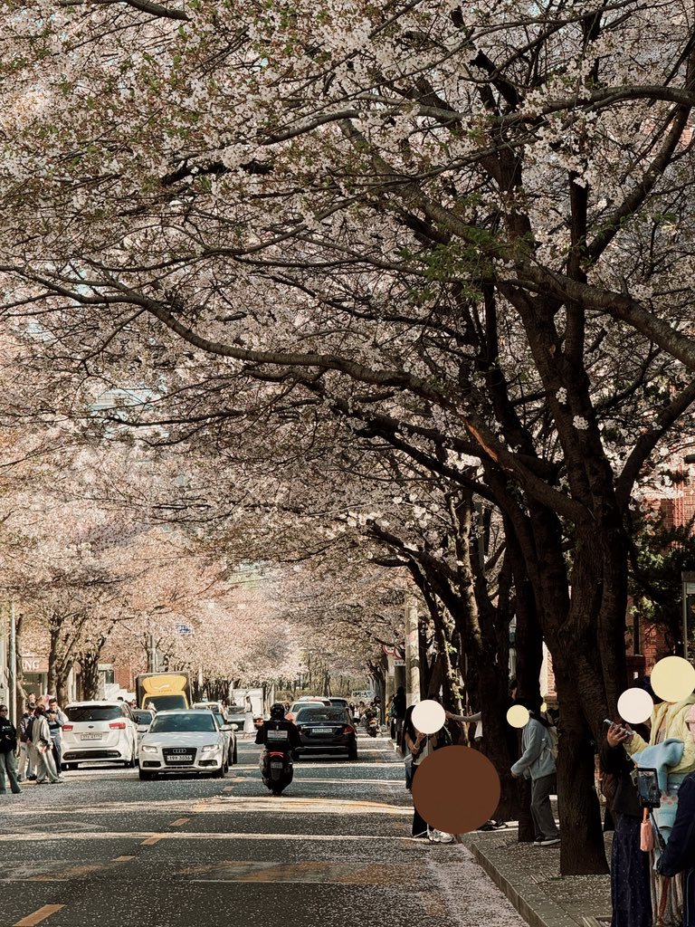 MANDU129 tweet media