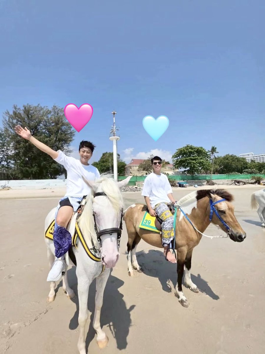 orh dara tweet media