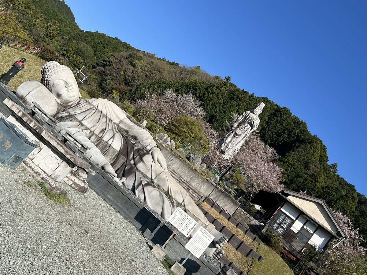 yuuto_pq's tweet photo. ご飯食べて壺坂寺に来た(◍˃ ᵕ ˂◍) https://t.co/pQMSp97n8W