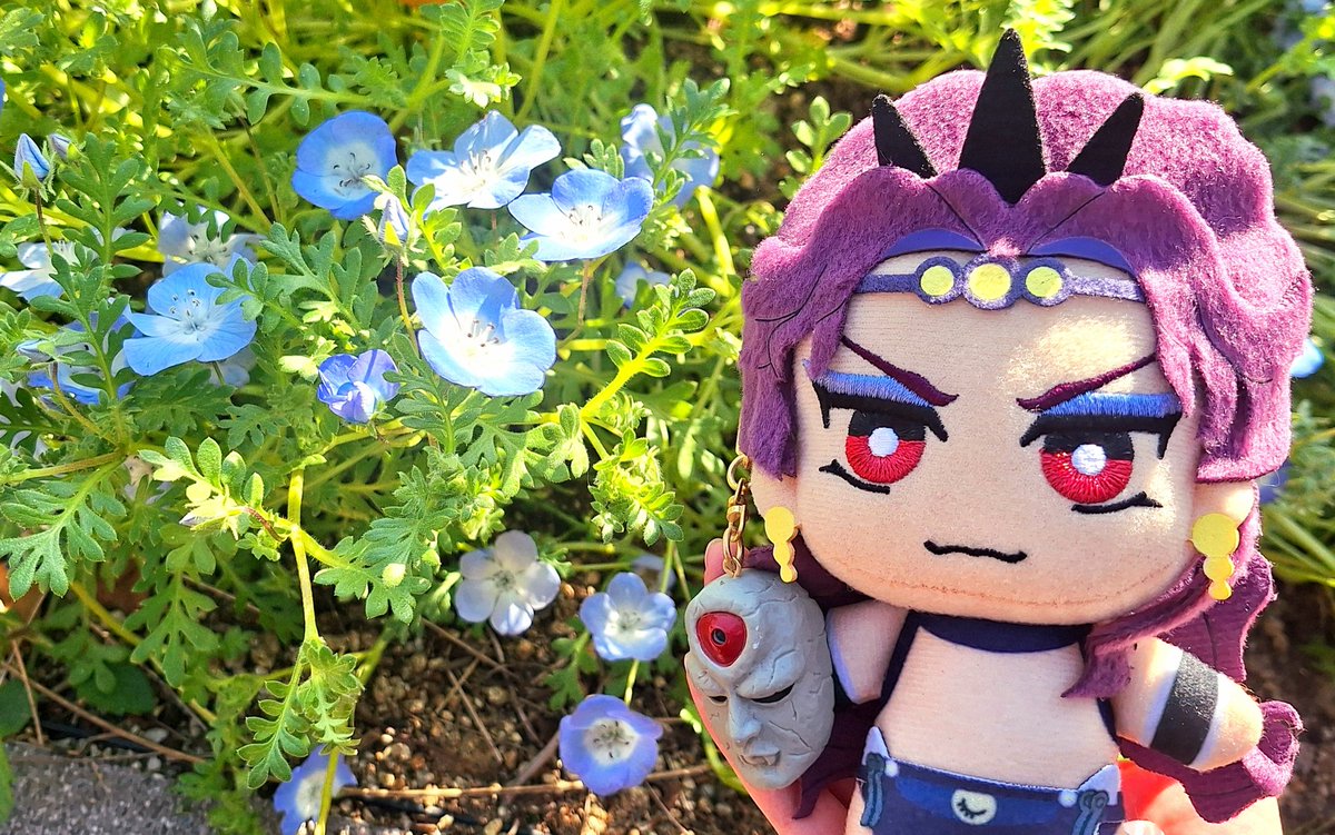 カーズ様ネモフィラです