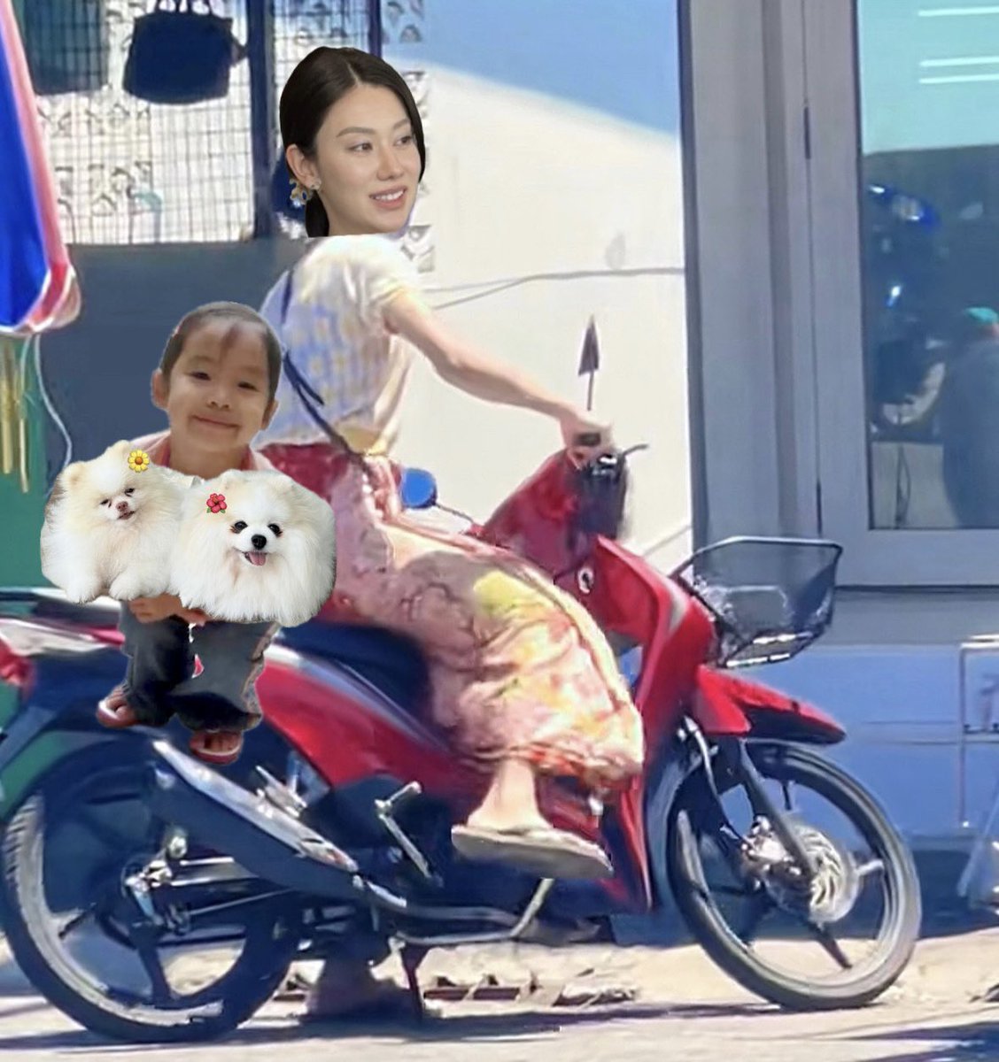 miumiumeg (คนเก่ง) 🐶 tweet media