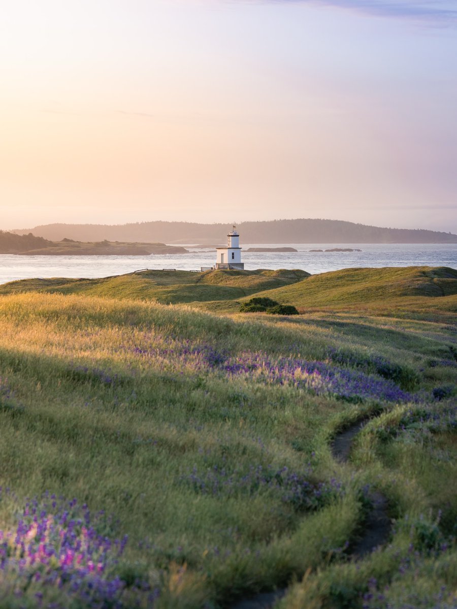 World_aib's tweet image. Washington state, USA