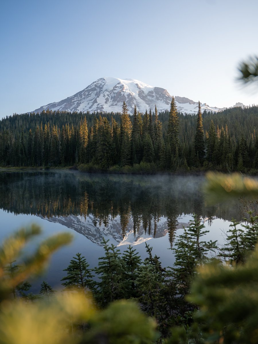 World_aib's tweet image. Washington state, USA