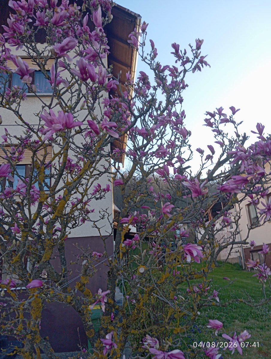 dušan kočevar tweet media